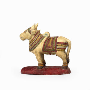 ORNATE NANDI